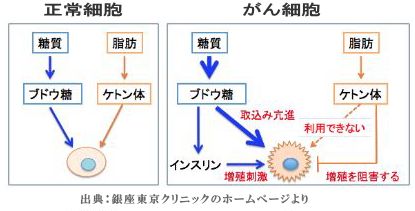 正常細胞とがん細胞の栄養源を示す図.jpg