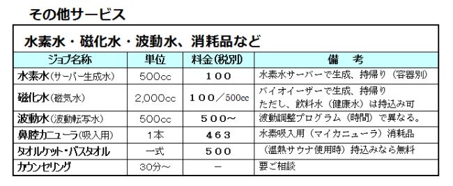 健康サロンの提供サービス「その他サービス」①高濃度水素水（5～7ppm）、パルス波の磁気治療器「バイオイーザー」で生成する磁化水、さらに波動調整プログラムで作成した波動水なども提供しています。②健康サロンで測定した結果によっては、必要に応じて生活習慣改善の動機づけなど提案させていただきます。③職場や家庭における健康サポートは、現場環境の調査・測定など含め総合的な健康阻害要因の解明と解決に取り組んでいます。