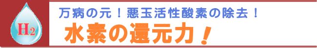 今、注目の健康法　その１「水素の還元力」