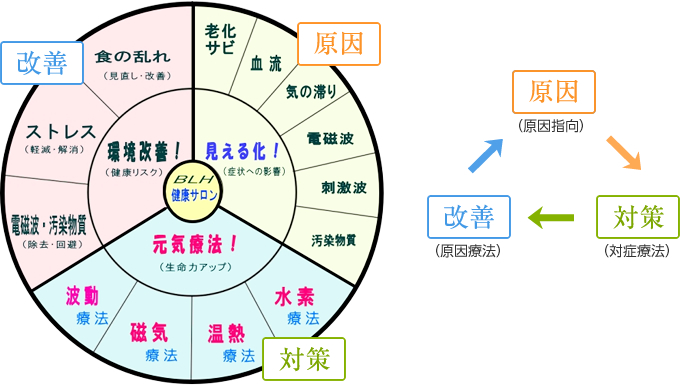 BLH健康サロンの目指す！次世代の健康づくり！①「原因」老化・体のサビ、血行不良、気の滞り、電磁波、刺激波や有害物質②「対策」水素療法、温熱療法、磁気療法、波動療法③「改善」食の乱れ見直し、ストレスの軽減、電磁波・有害物質の除去・回避などによる生命力・免疫力・自然治癒力向上