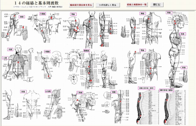 波動分析プログラム・メニュー「14経絡の周波数で見る」
