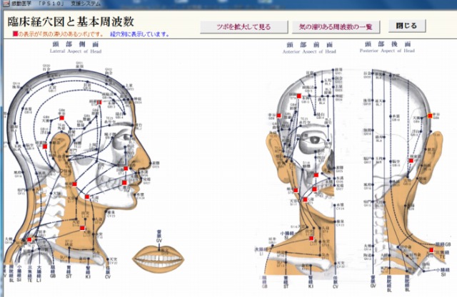 波動分析プログラム・メニュー「臨床経穴図の全ツボを見る」の頭部