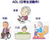 健康の質と日常生活動作（ADL）