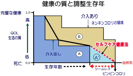 健康の質と調整生存年