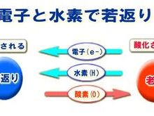 不健康の元凶！酸化ストレスから身を守る！のイメージ