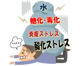 現代人は五大ストレスで瀕死する