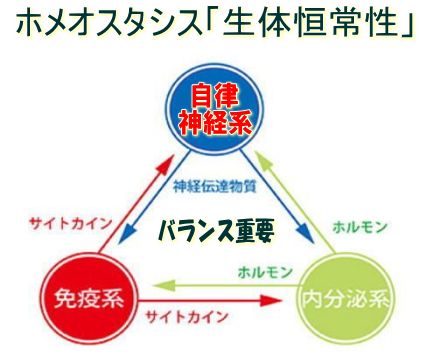 恒常性「ホメオスタシス」