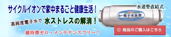 サイクルイオン「電子水装置」の購入