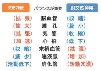 バイオイーザーで自律神経を整える