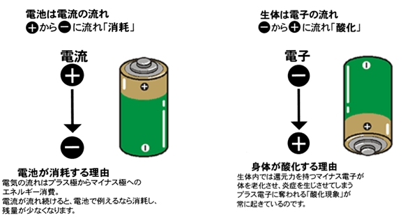 自然現象と酸化の仕組み