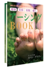 アーシングBOOK101