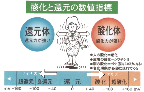 酸化と還元の数値指標.