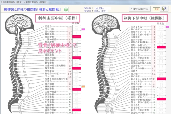 背骨（脊柱）で見るポイント