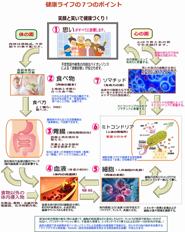 健康ライフの7つのポイント