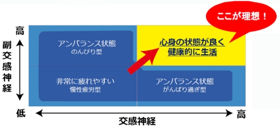 自律神経バランスの理想