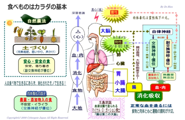 食べ物はカラダの基本