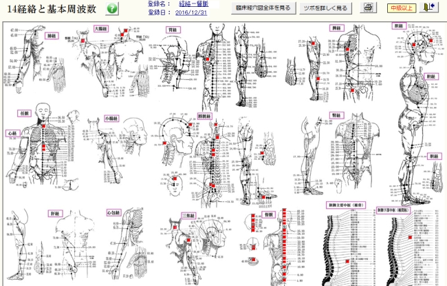一目で分かる！14経絡のツボ情報