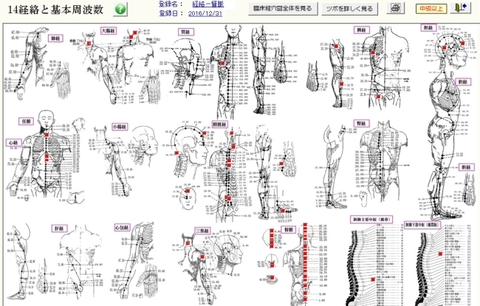 気とツボで不調の原因表示！波動測定器レヨコンプPS10の測定結果をフル