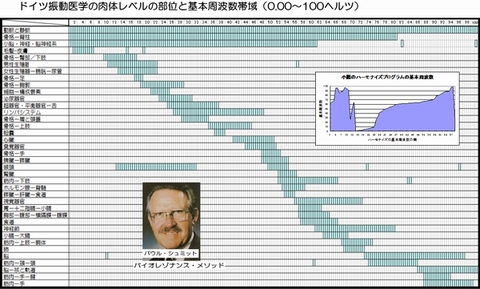 パウル・シュミット式バイオレゾナンスの魅力！レヨコンプPS10の徹底 