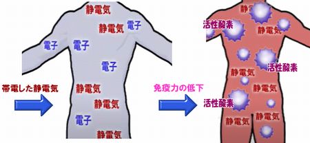 アーシングの必要性と免疫力