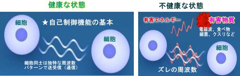 バイオレゾナンスで診る不調の原因