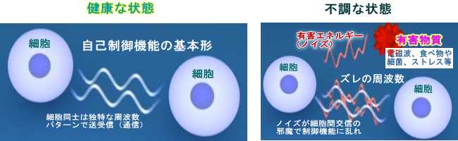 不調な状態と健康な状態.jpg